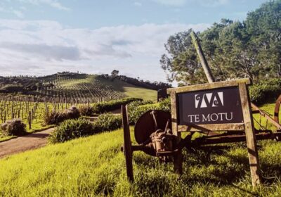 How it started, a short history about Waiheke Islands vineyards